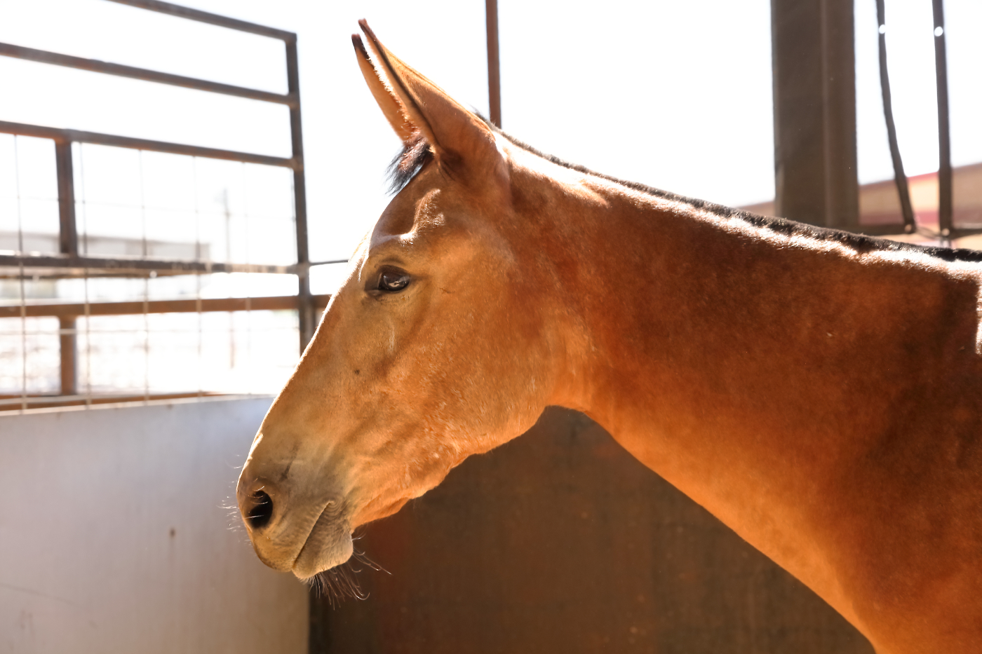 2023 08 18 HTP 50060e