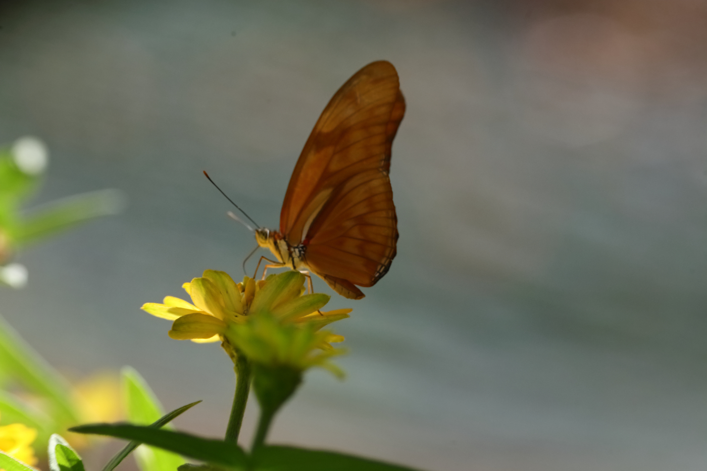 2023 08 24 HTP 50450e
