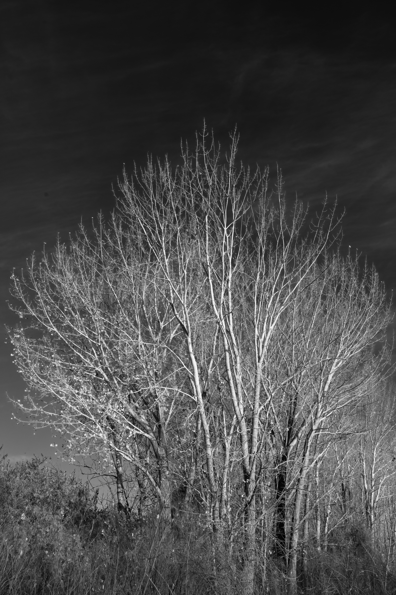 2025 11 14 HTP 50756e3
