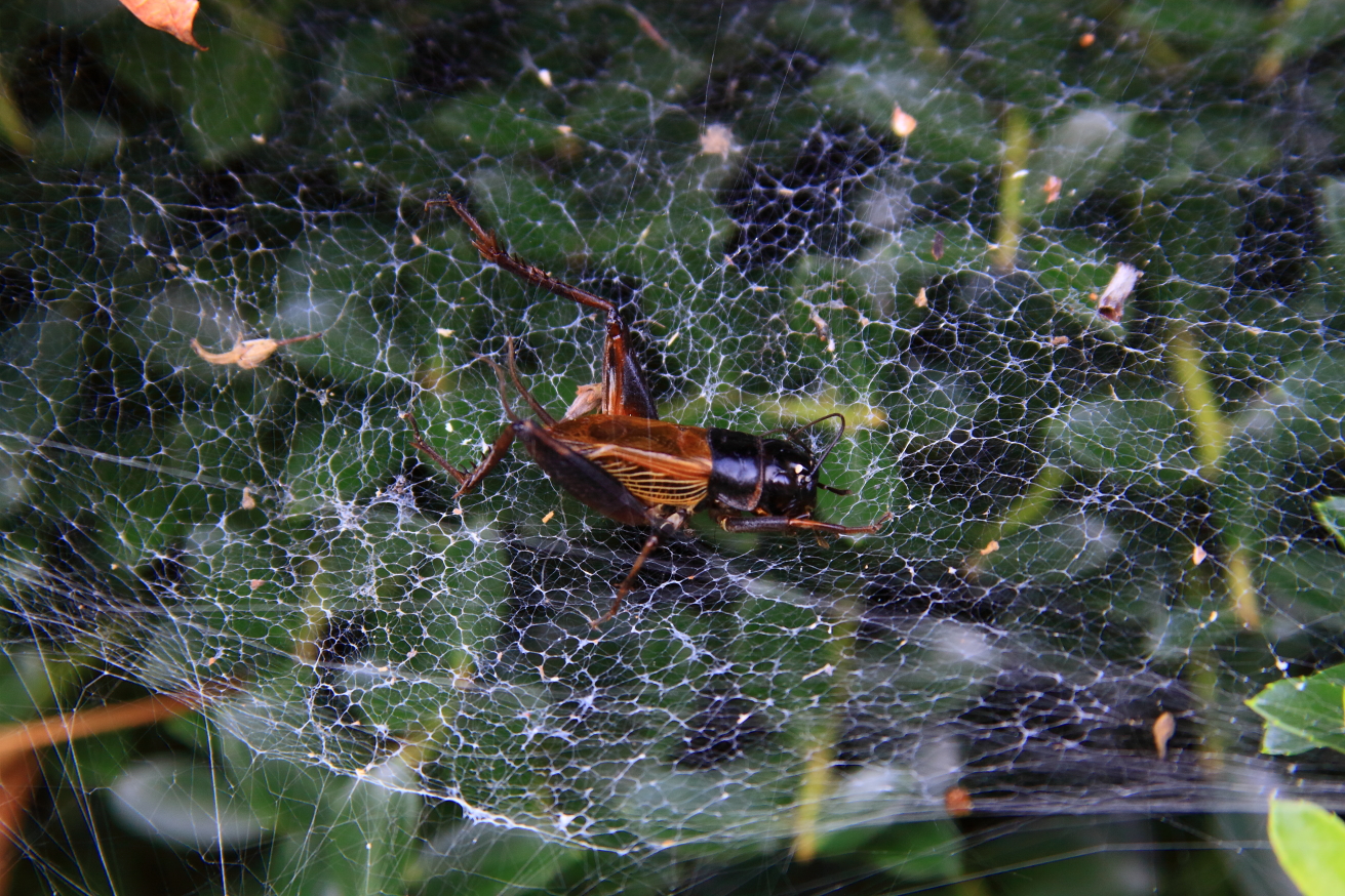 2010 09 23 IMG 09633