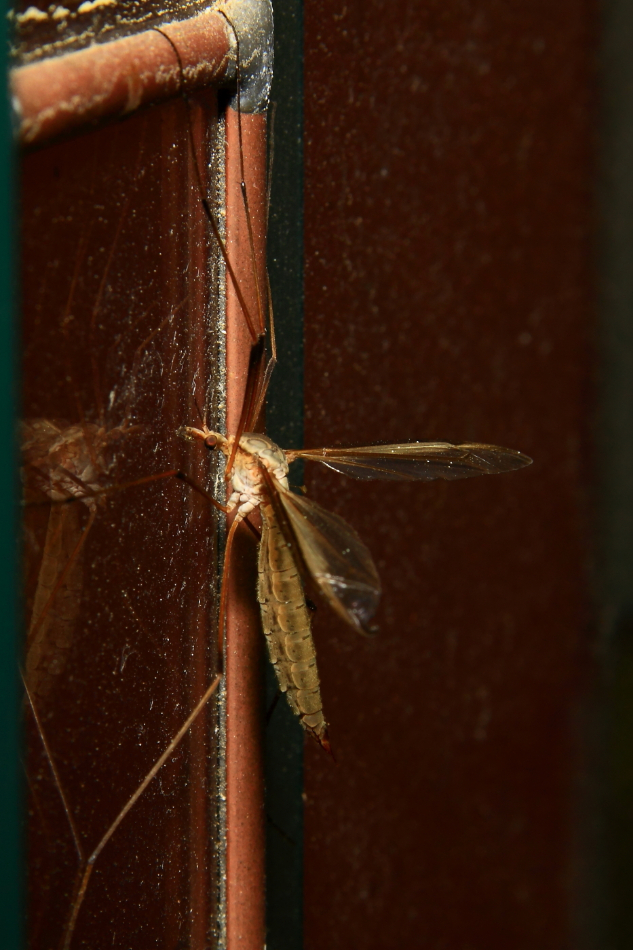 2011 04 30 IMG 29557e