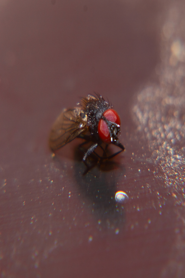 2012 05 24 4345e