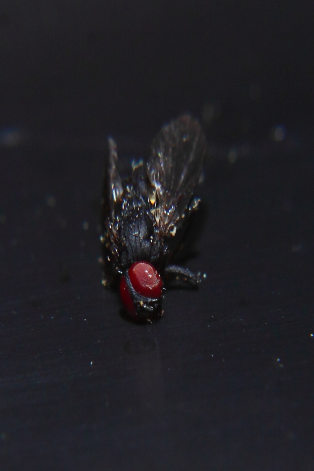 2012 05 24 4363e
