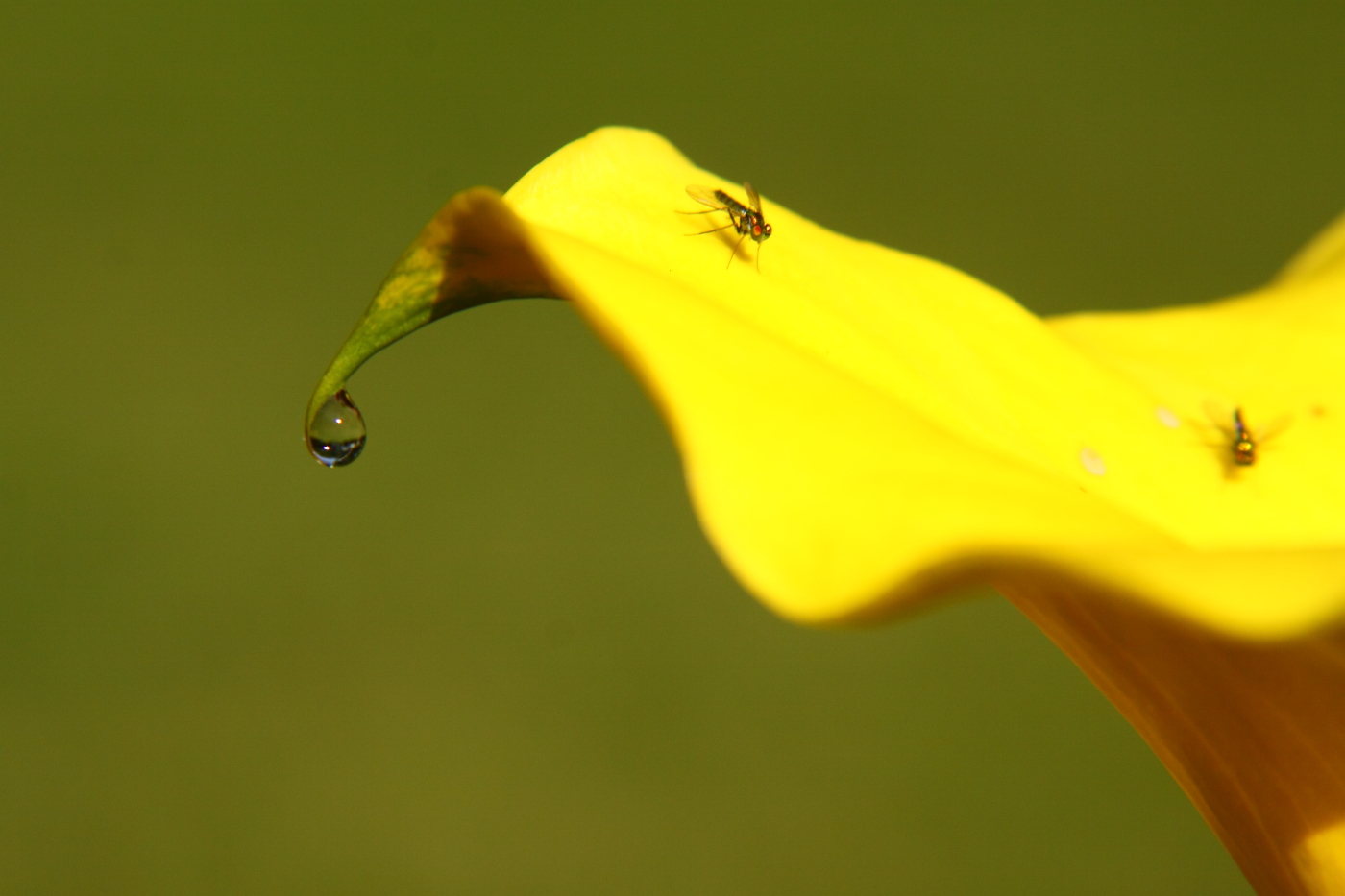 2012 06 18 6156