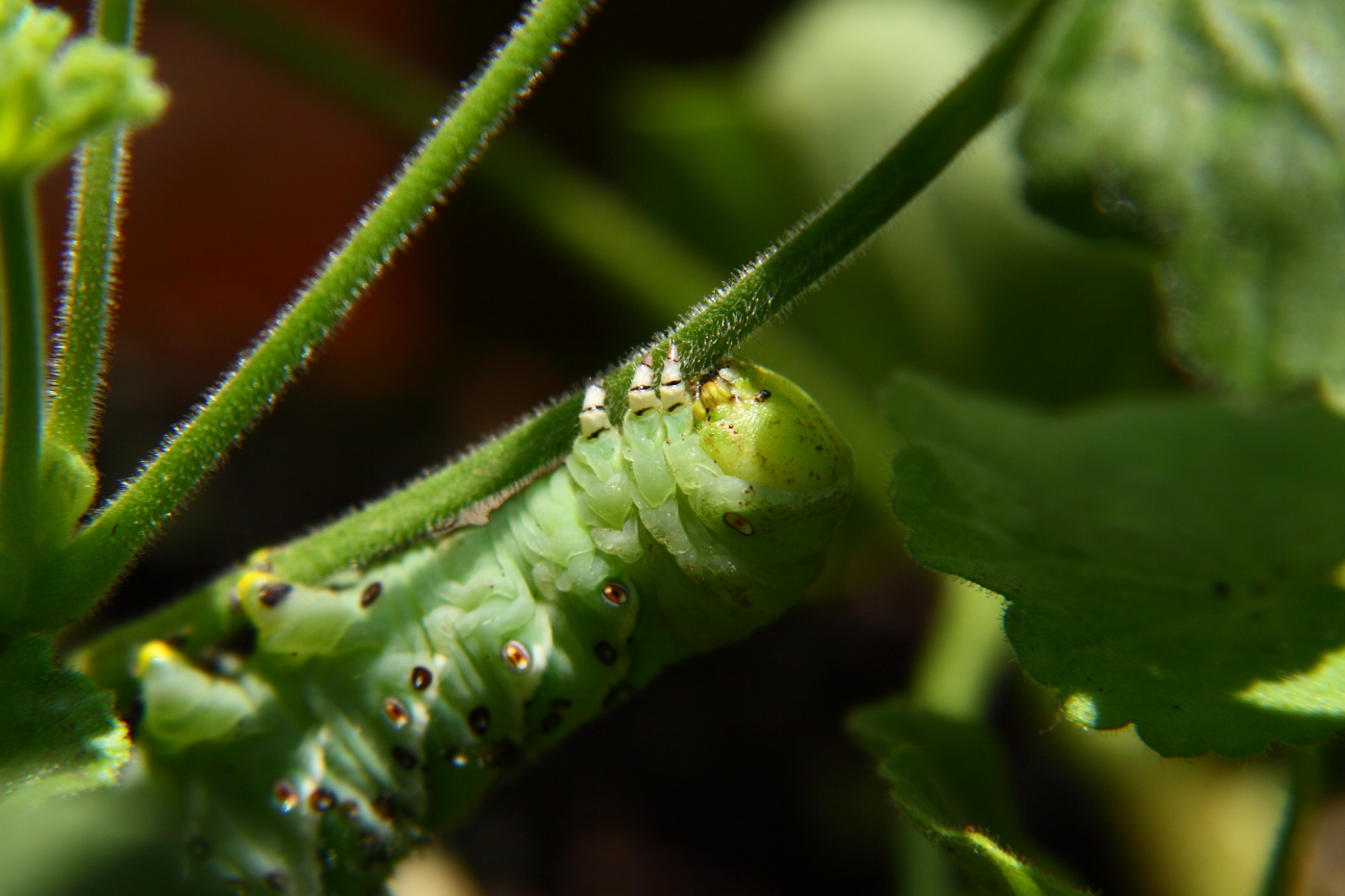 2012 07 23 9261