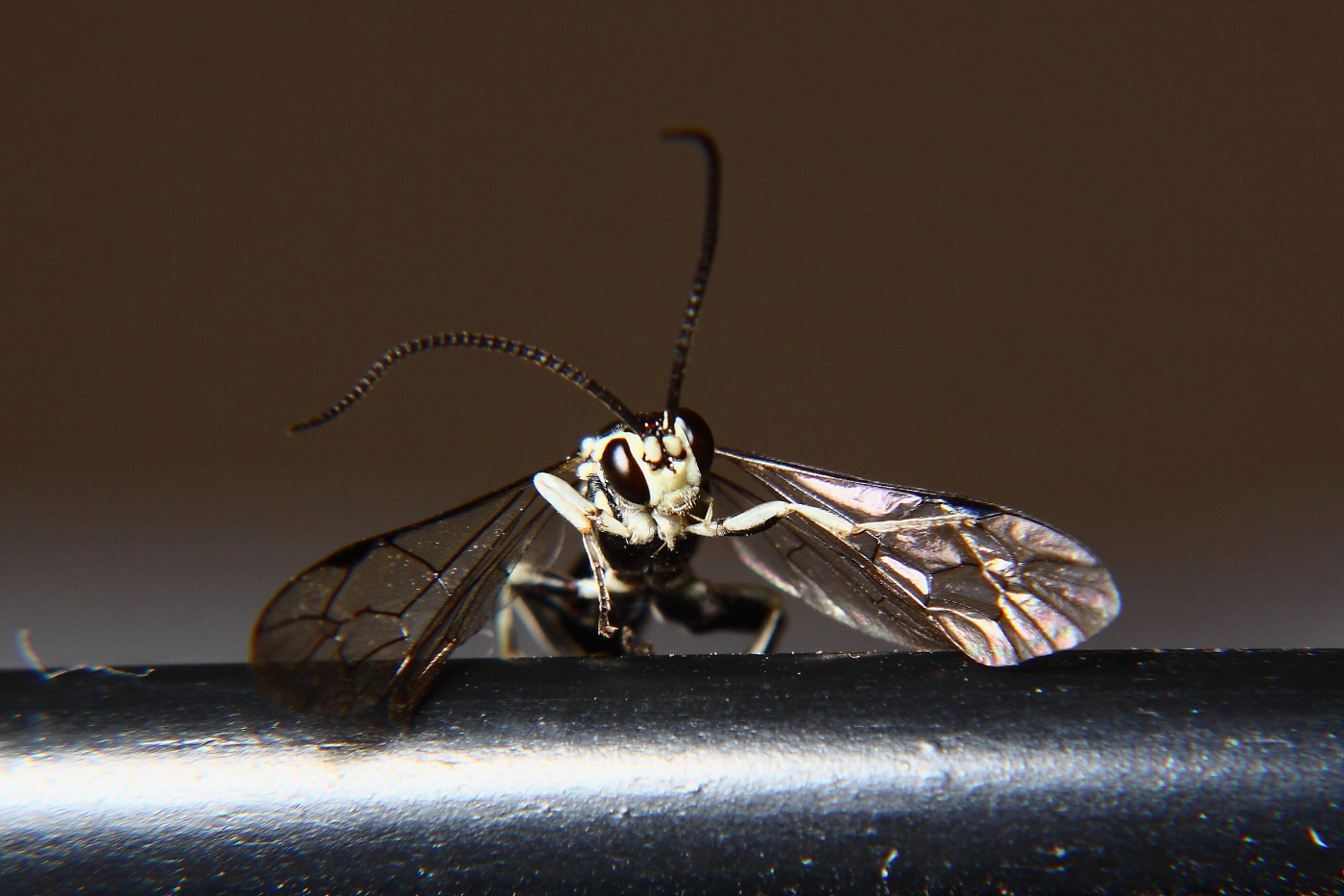 2012 08 26 9999 20e