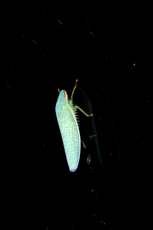 2012 10 04 9999 72e