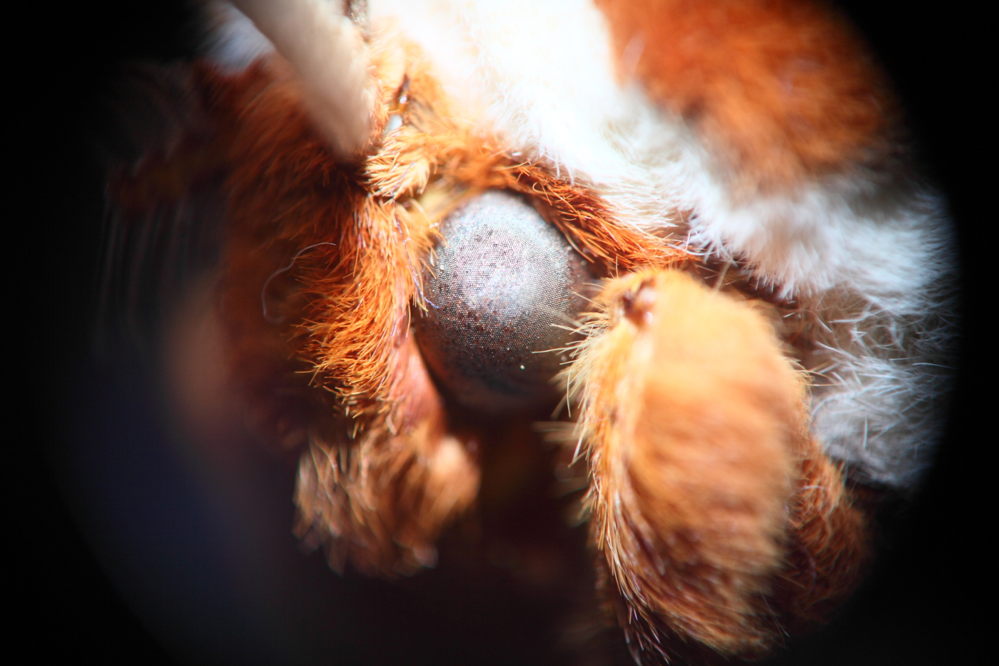 2013 04 13 IMG 02905