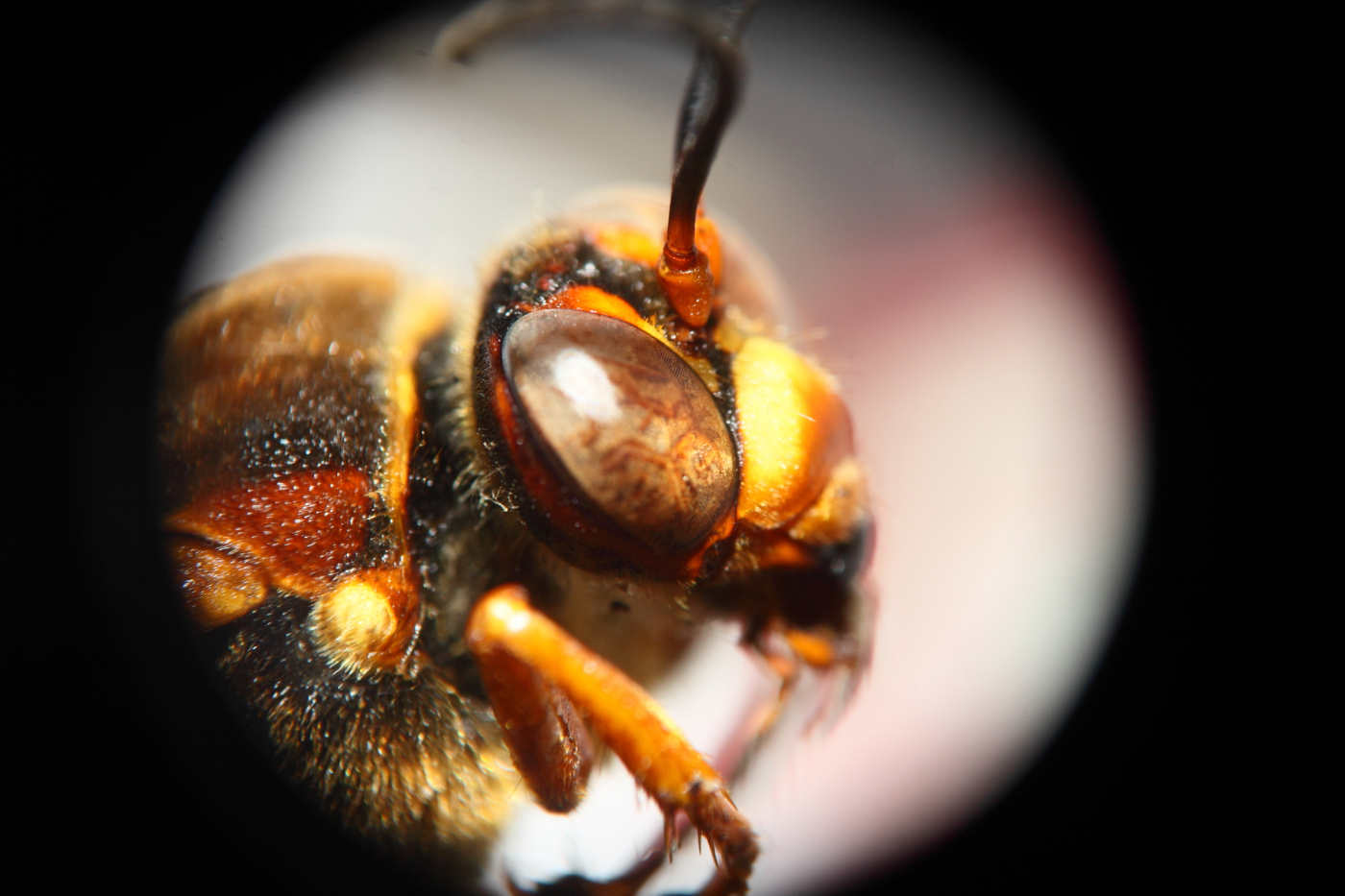 2013 04 13 IMG 02915