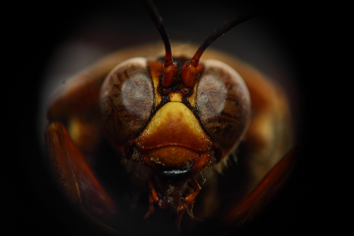 2013 04 13 IMG 02922