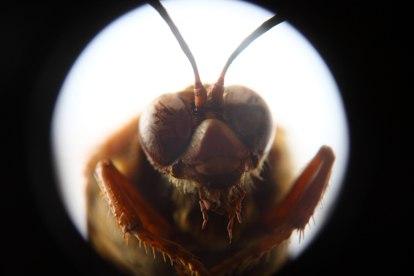 2013 04 13 IMG 02942