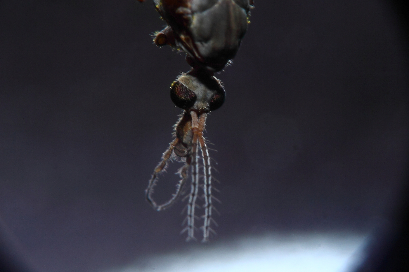 2013 04 22 IMG 03606e