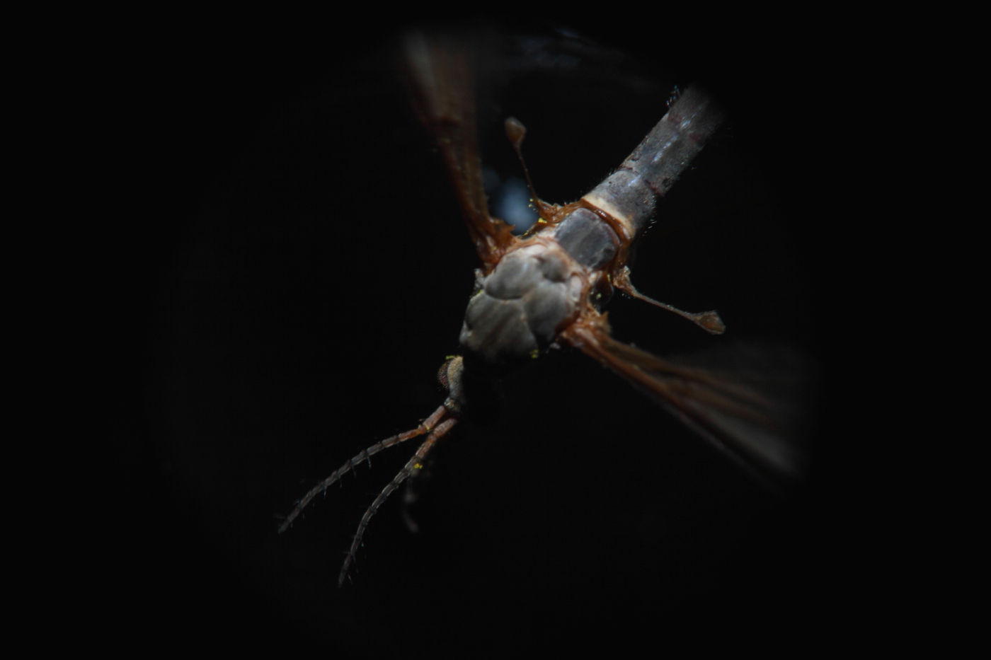 2013 04 22 IMG 03615e