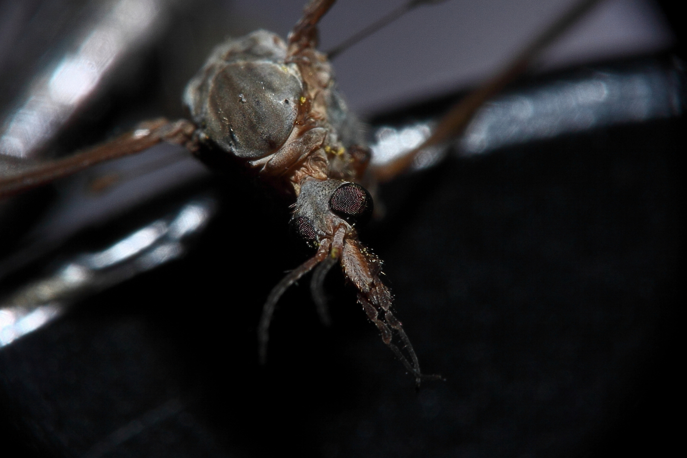 2013 04 22 IMG 03616e