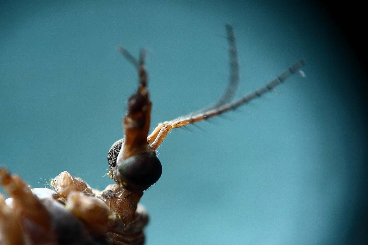 2013 04 22 IMG 03638e