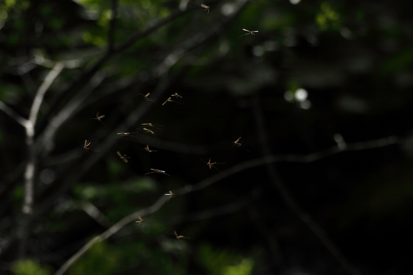 2013 05 07 IMG 05419e