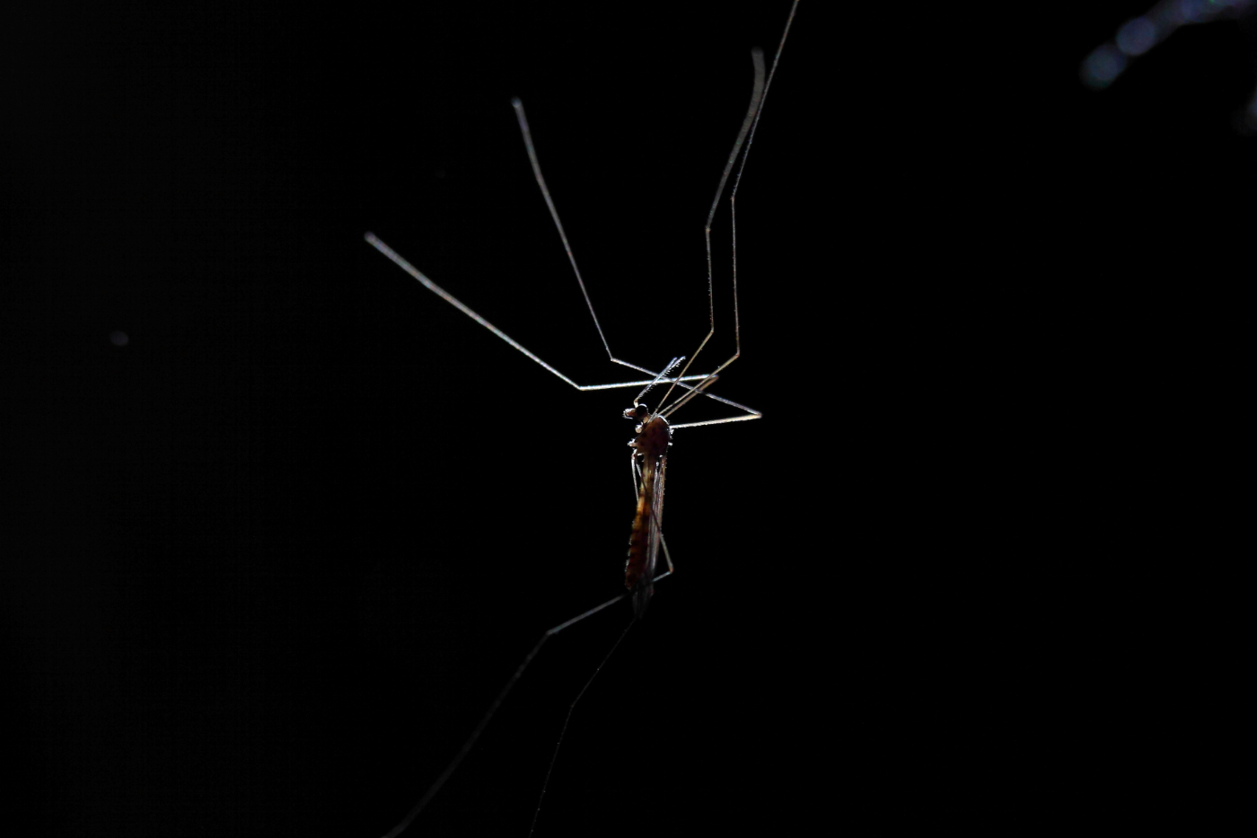 2013 06 06 IMG 09196e