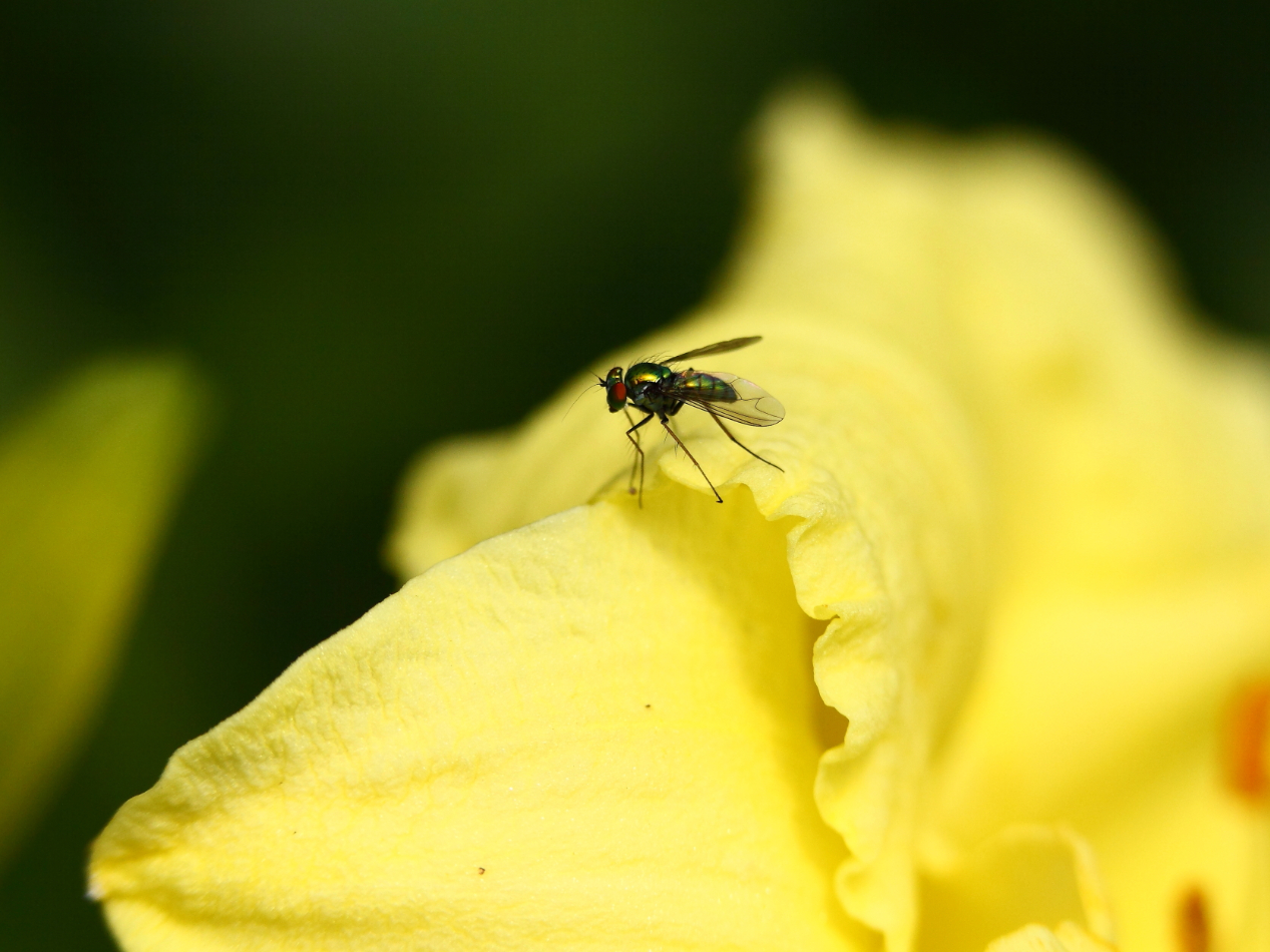 2013 06 26 IMG 11759e