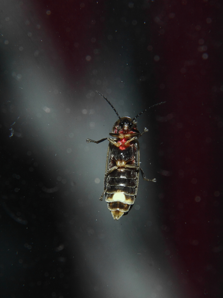 2013 07 02 IMG 12524e