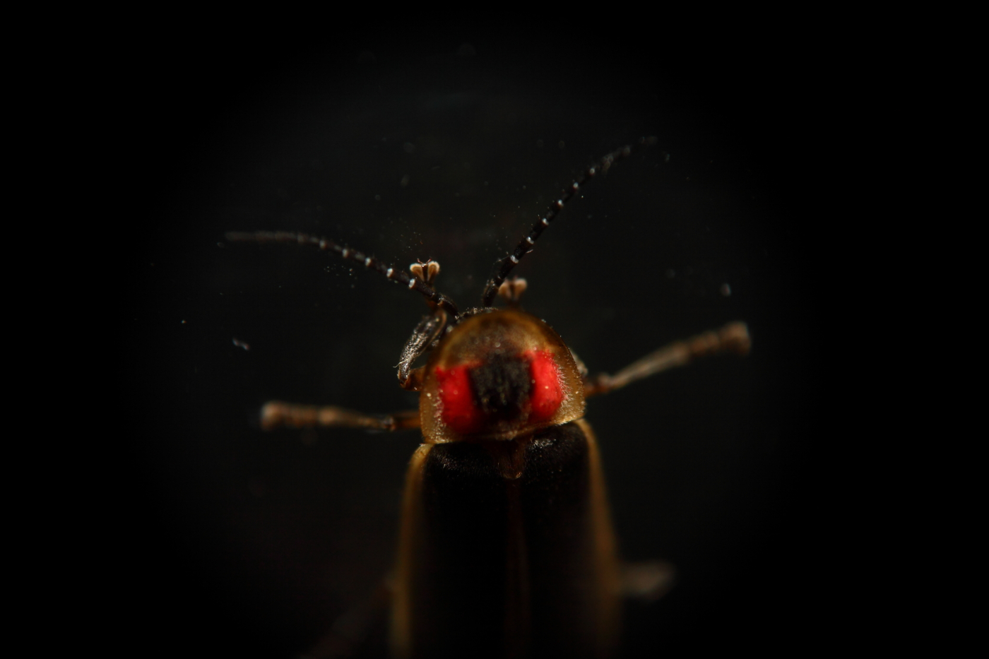 2013 07 02 IMG 12538