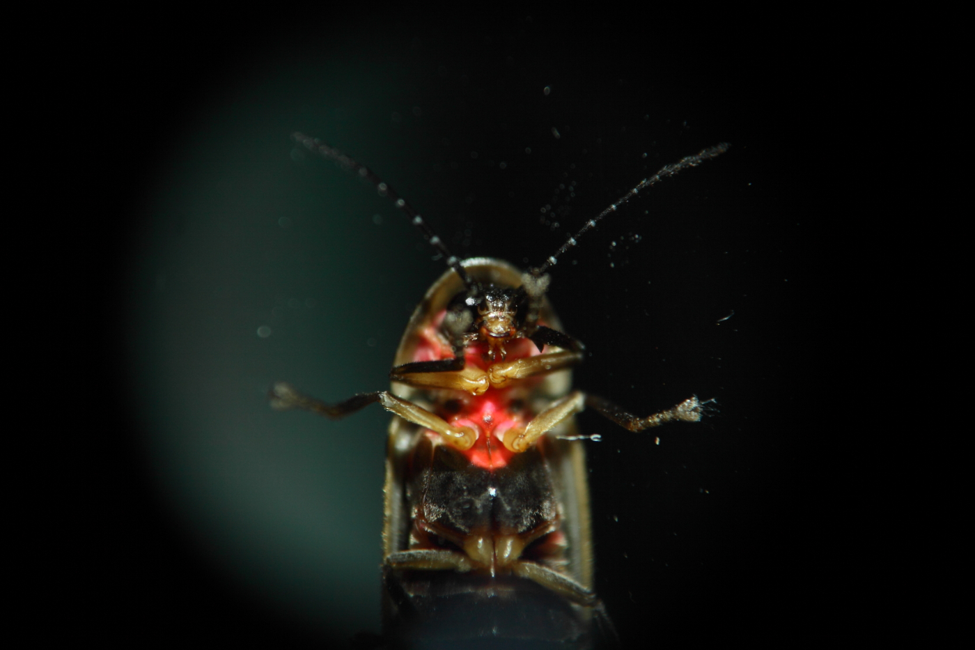 2013 07 02 IMG 12548