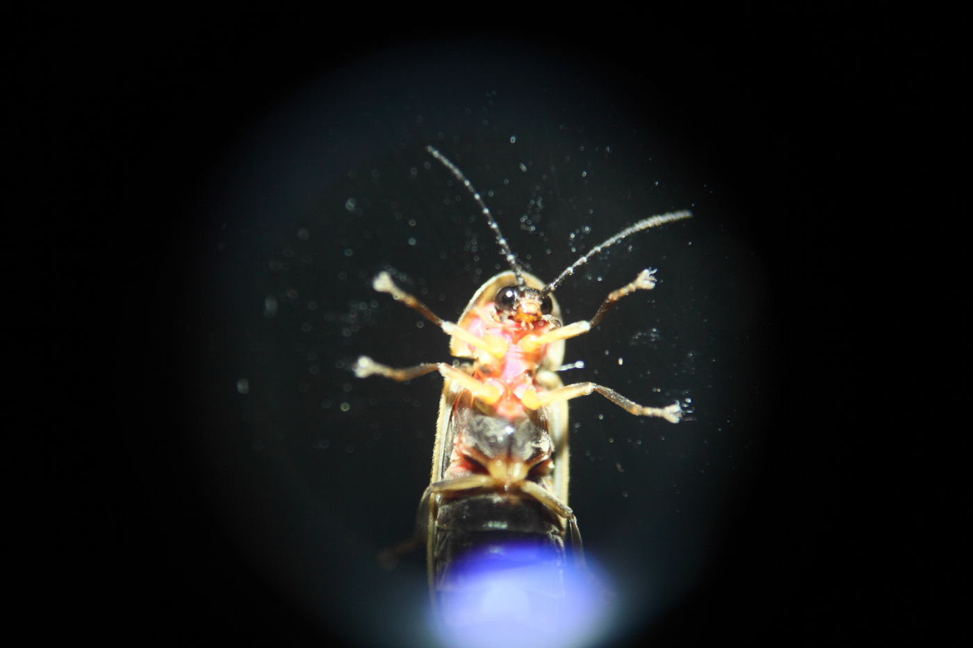2013 07 02 IMG 12559