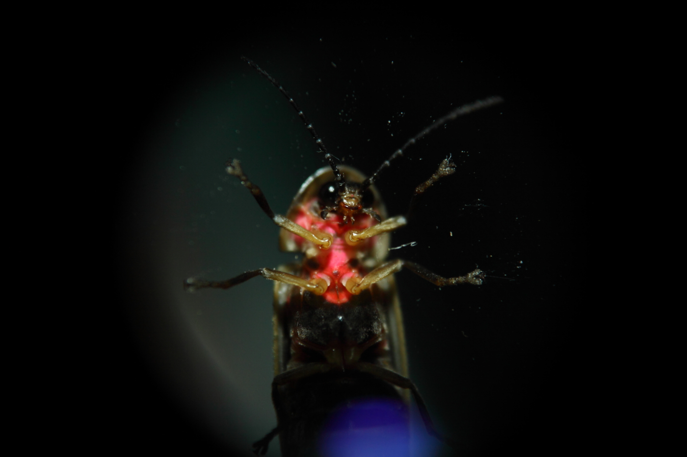 2013 07 02 IMG 12569