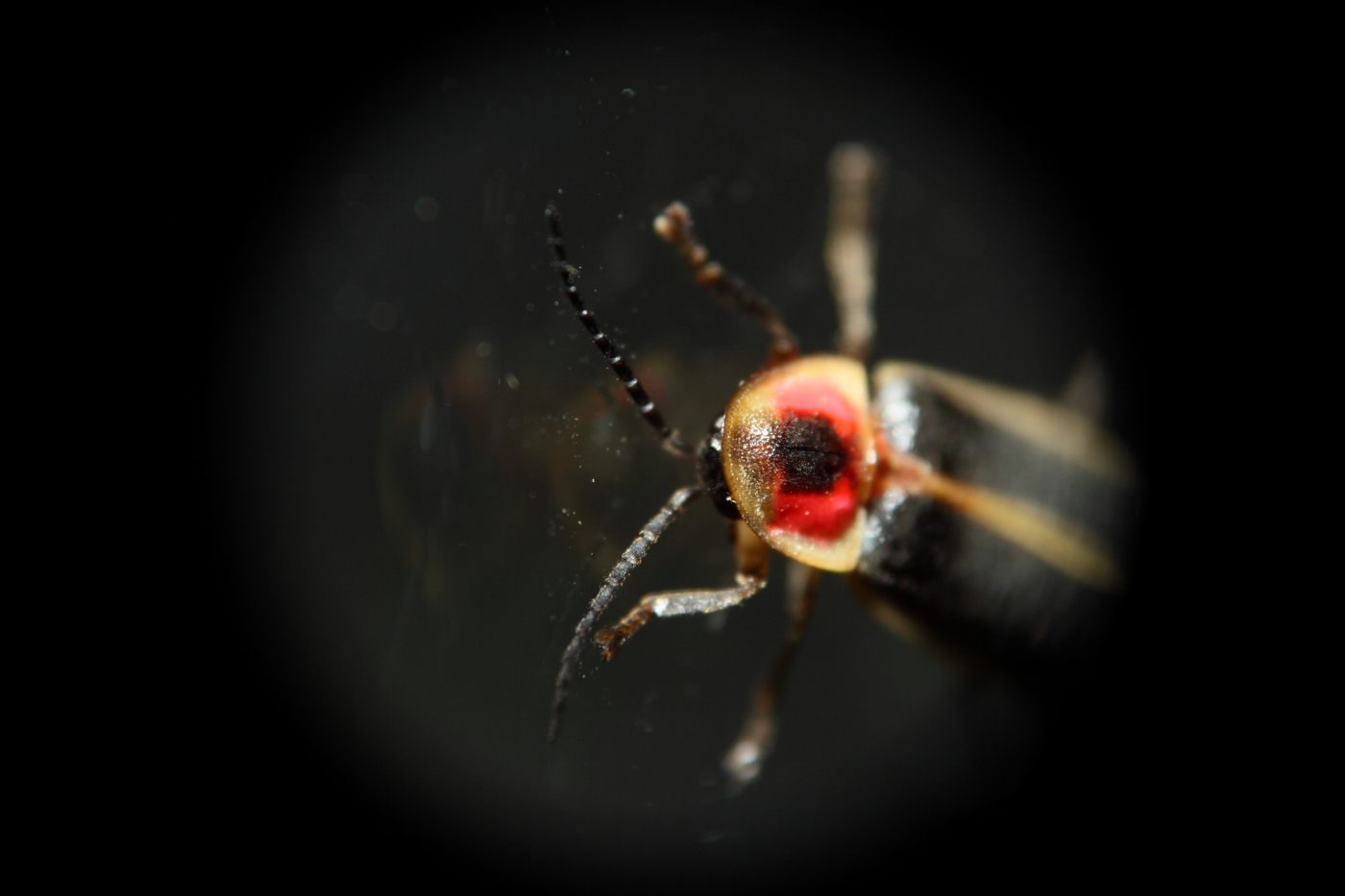 2013 07 02 IMG 12572