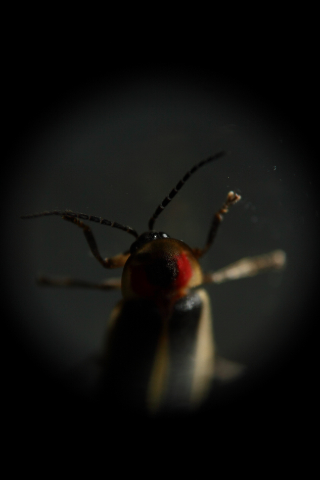 2013 07 02 IMG 12574