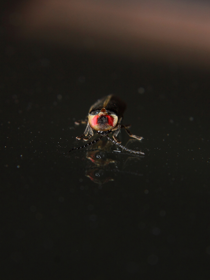 2013 07 02 IMG 12594e