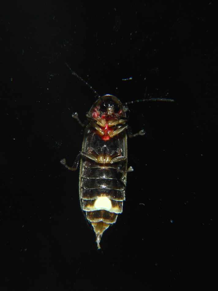 2013 07 02 IMG 12606e