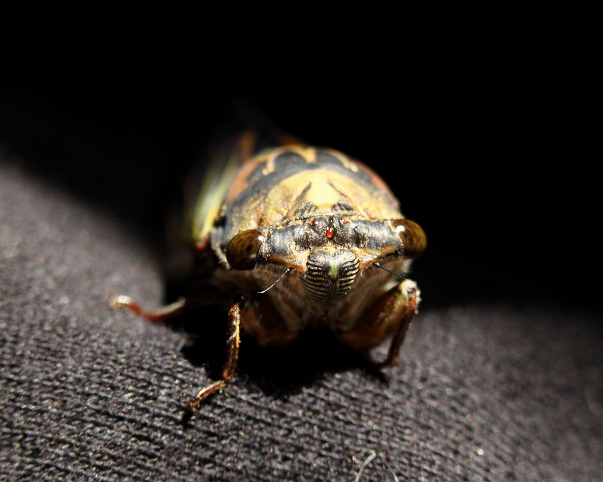 2013 07 23 IMG 14763e