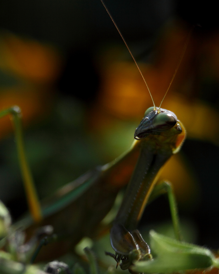 2013 08 29 HTP 04373e