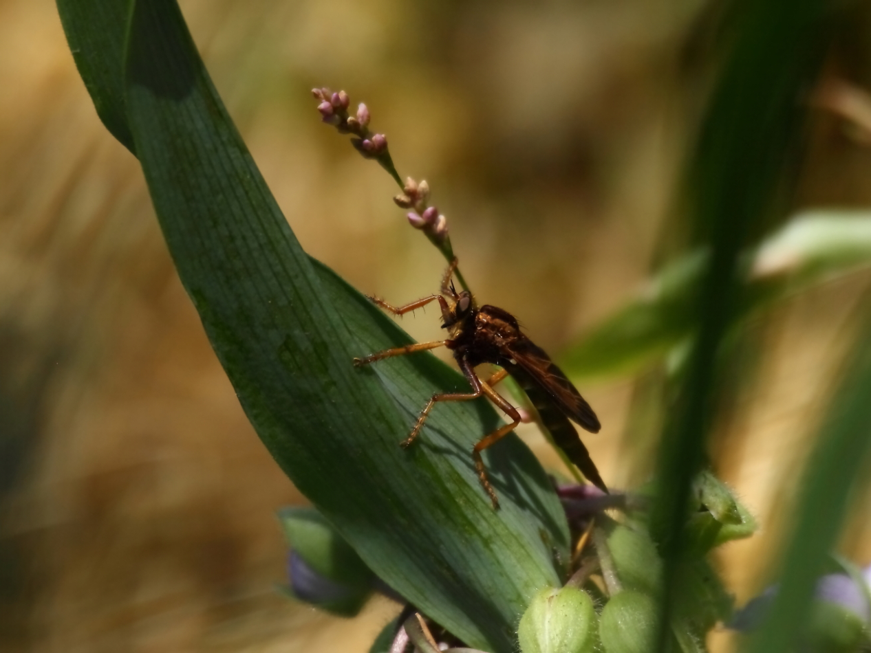 2014 06 29 HTP 67054e