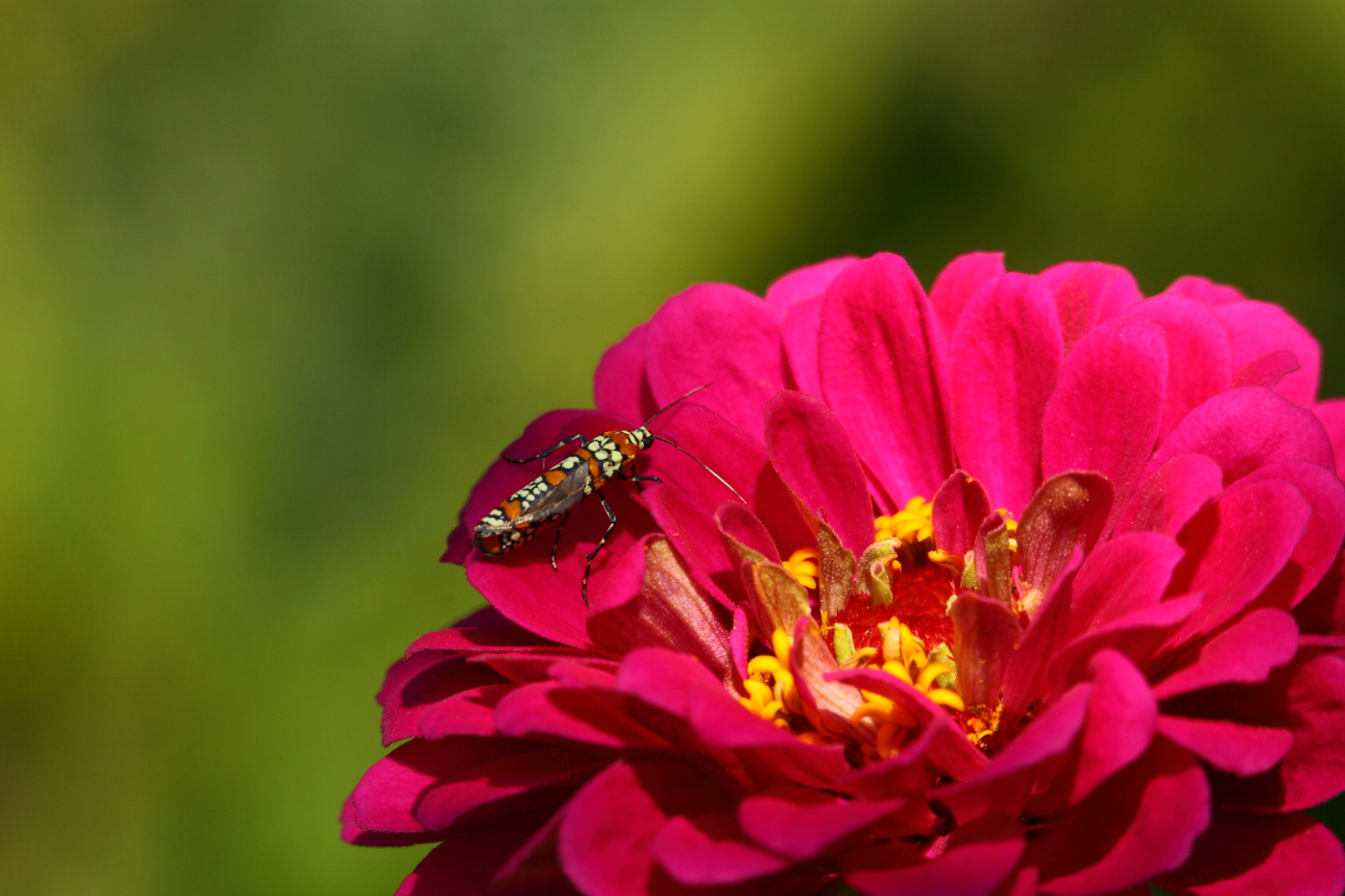 2014 08 25 HTP 81763