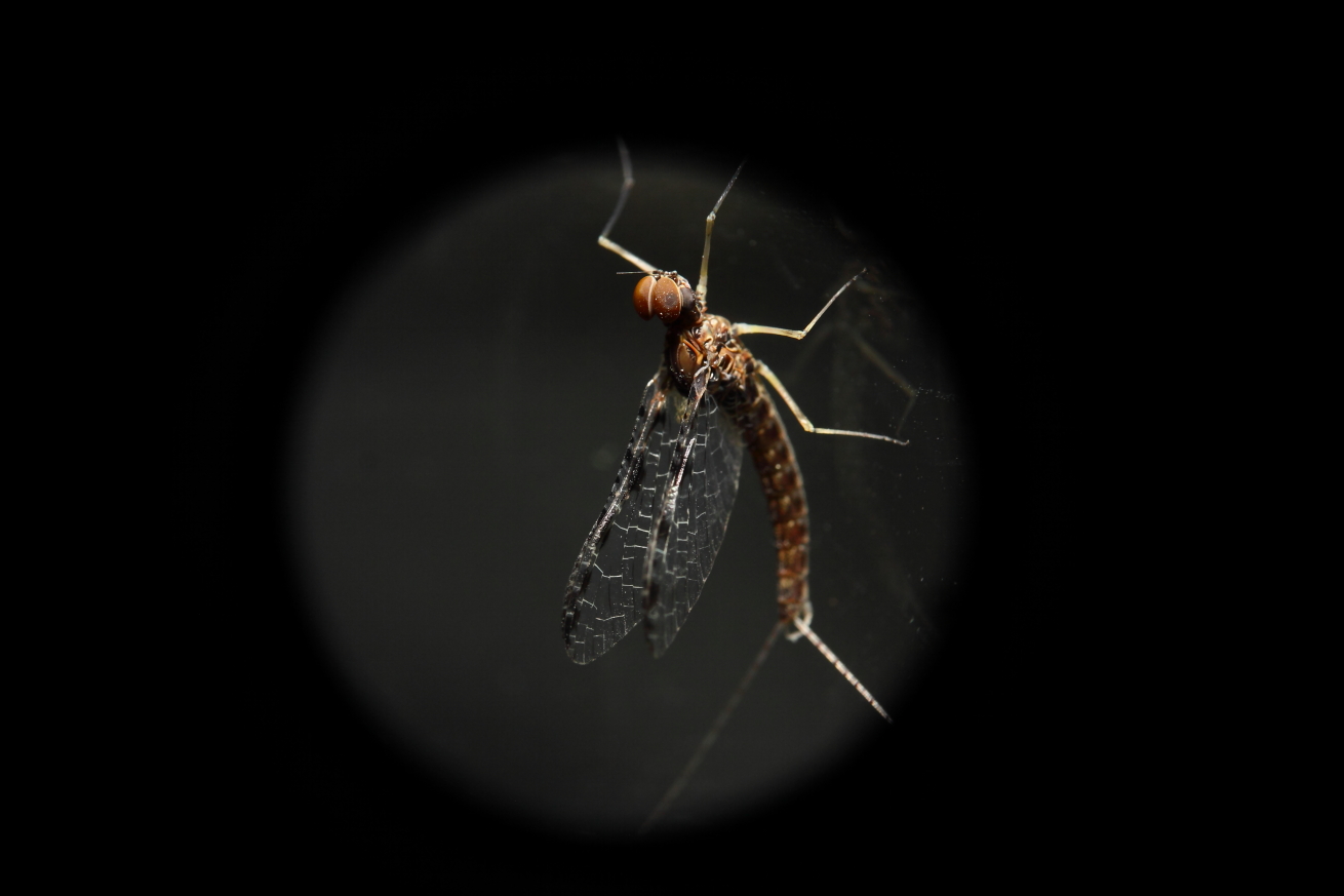 2015 04 23 HTP 000044173