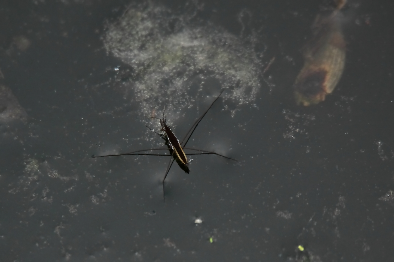 2015 05 16 HTP 000054933e