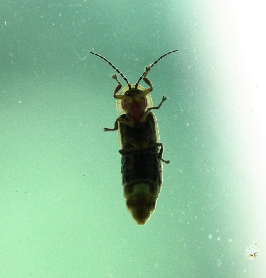 2019 07 30 HTP 50362e