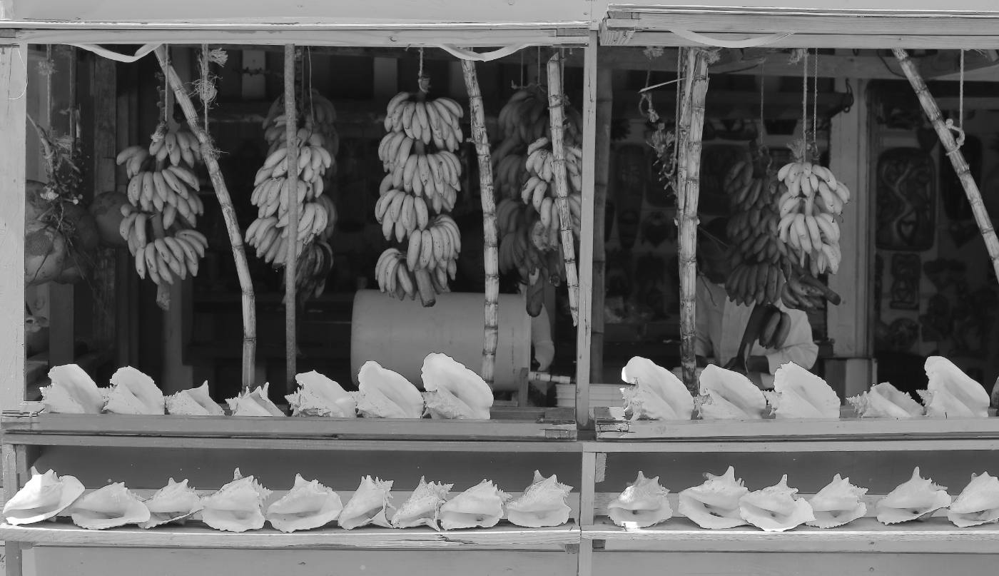 2019 09 04 HTP 90479e