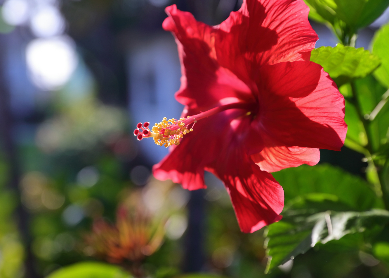 2019 09 06 HTP 90243e