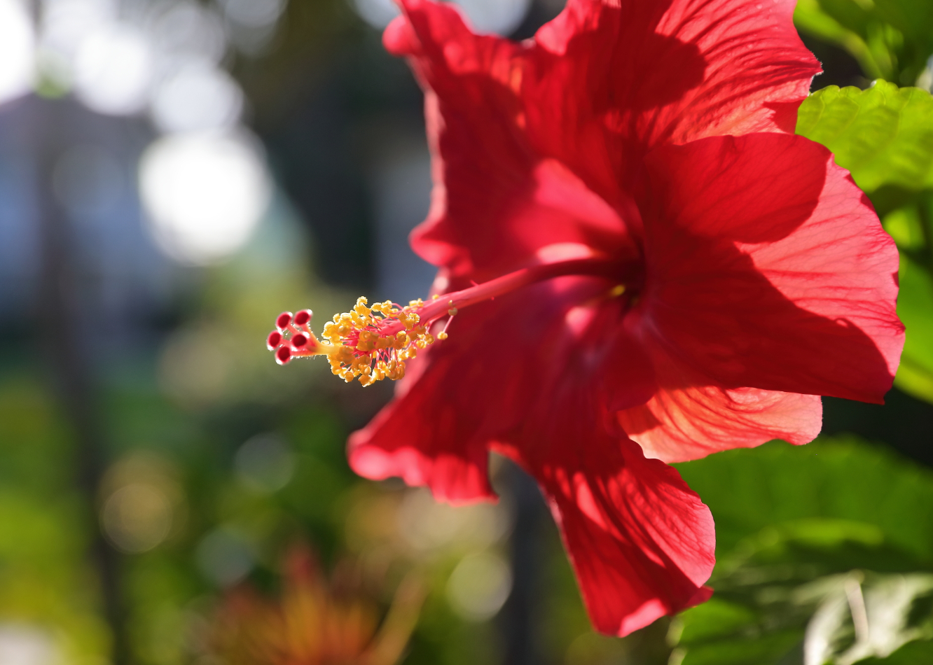 2019 09 06 HTP 90246e