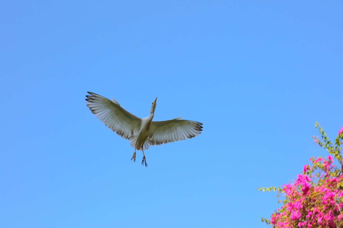 2019 09 06 HTP 90536e