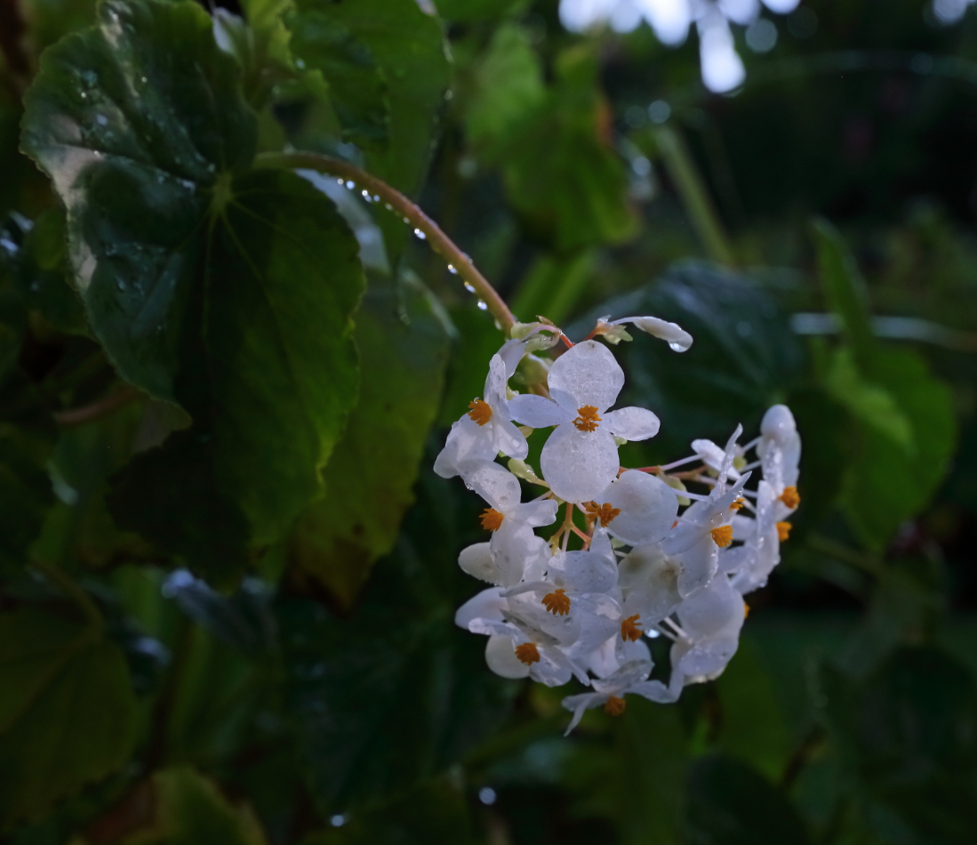 2019 09 06 HTP 90601e
