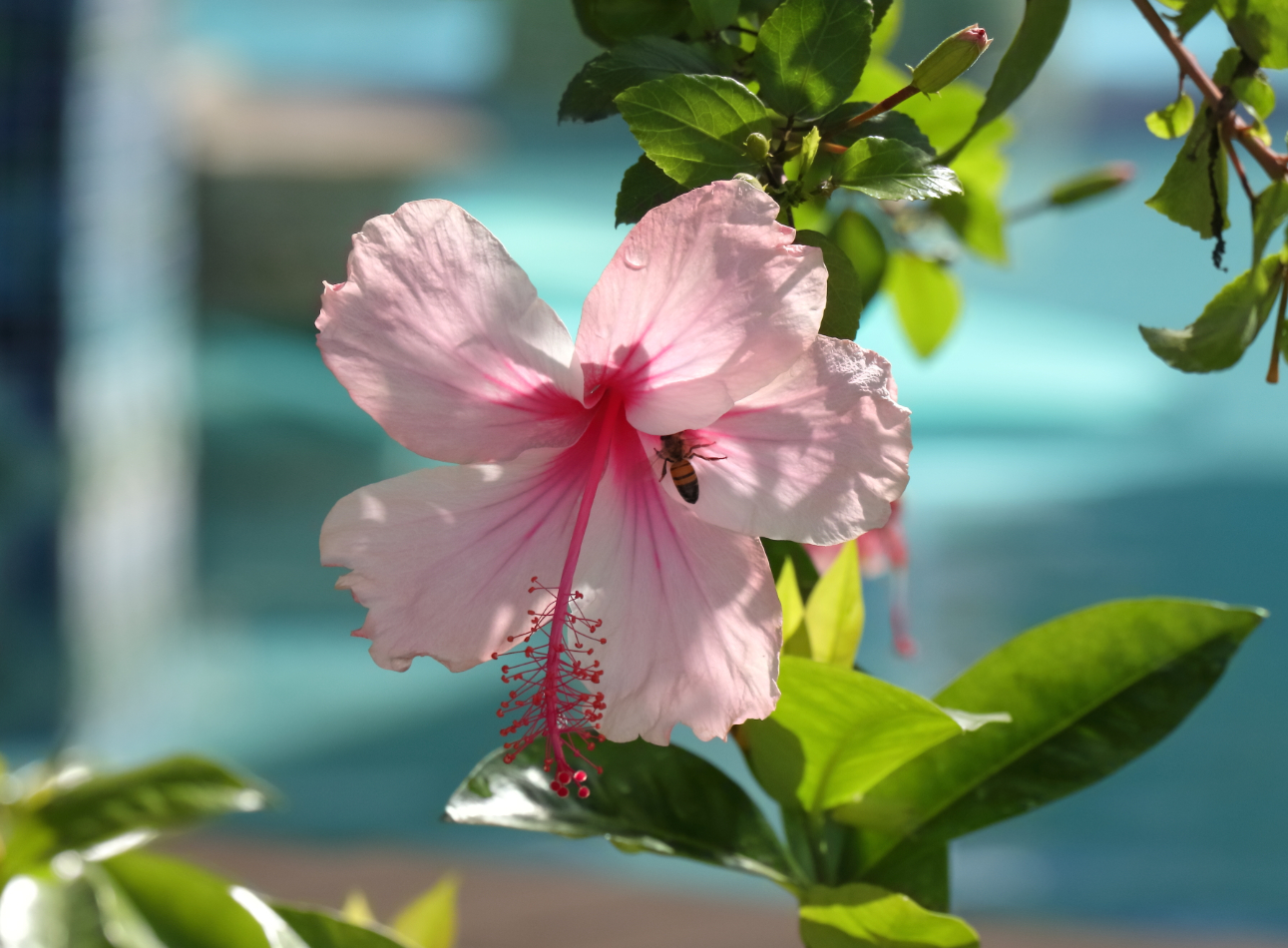 2019 09 07 HTP 90151e