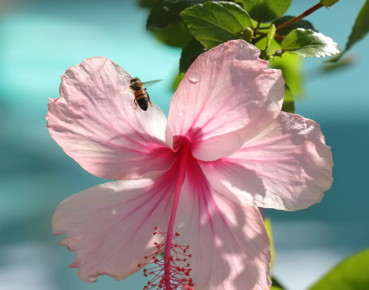 2019 09 07 HTP 90157e