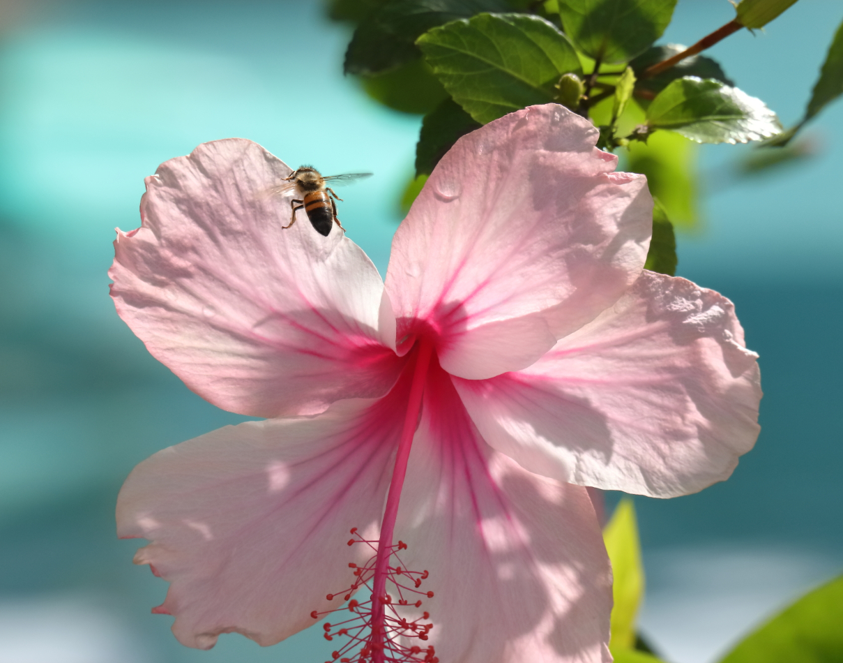 2019 09 07 HTP 90158e