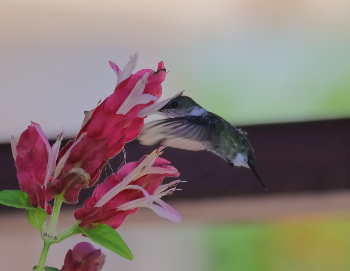 2019 09 07 HTP 90810e