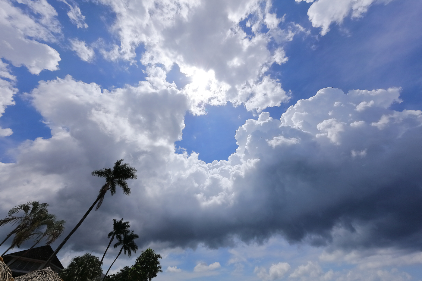 2019 09 08 HTP 90601e