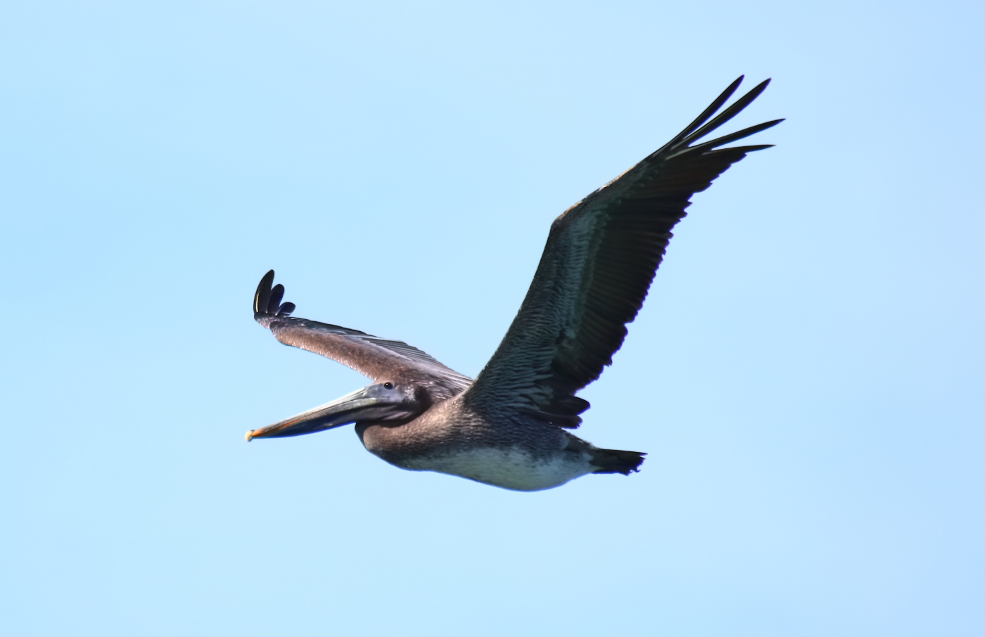 2019 09 09 HTP 50047e
