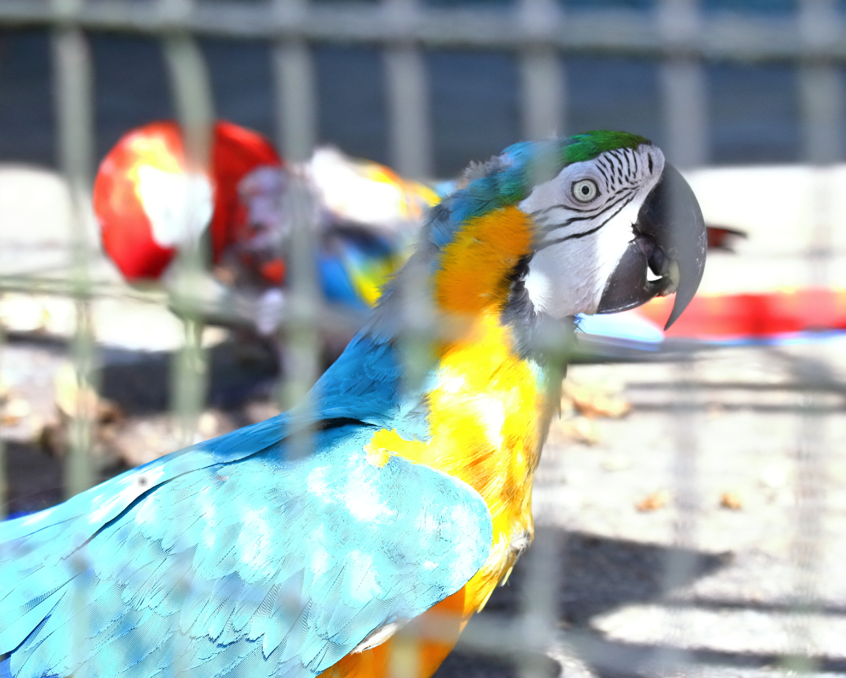 2019 09 09 HTP 50251e
